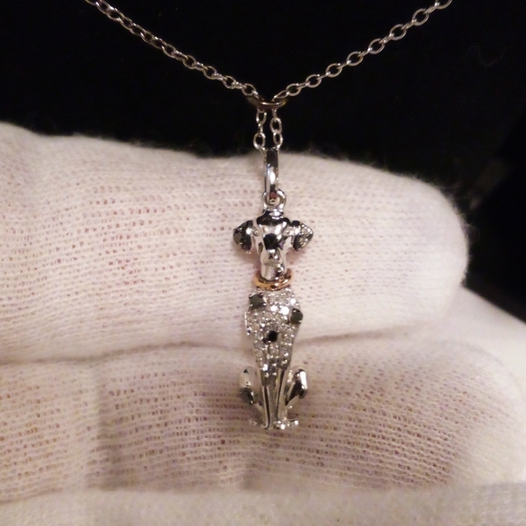 ---- - Picture 2 of 13